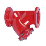 FY300 Y-Strainer