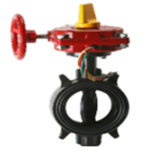 HPW Monitoring Butterfly Valve