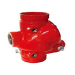 DGC D.I Check Valve