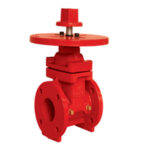 ANRS3-FF NRS Gate Valve